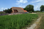 grafika